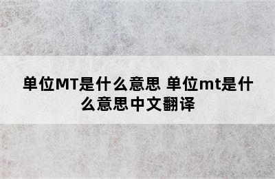 单位MT是什么意思 单位mt是什么意思中文翻译